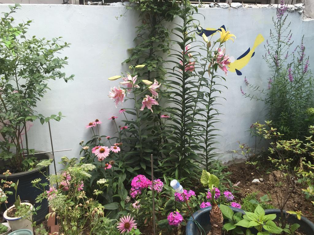 Duri Guest House Seul Zewnętrze zdjęcie